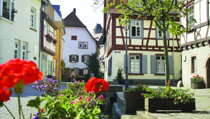 Old timber frame houses in the tanners quater