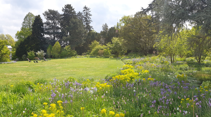 With yellow and purple flowering bed enclosed large lawn area in the Hermannshof
