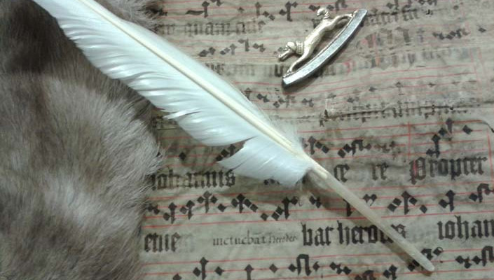 Fur, feather and an old book