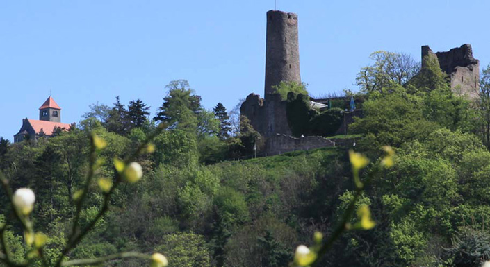 Die Burgruine Windeck
