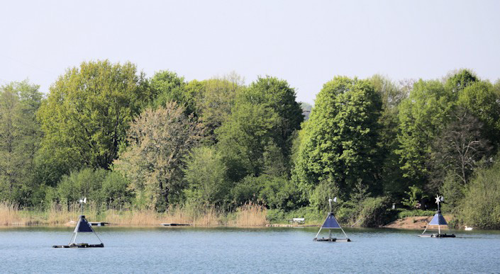 PELIKANE auf dem Waidsee