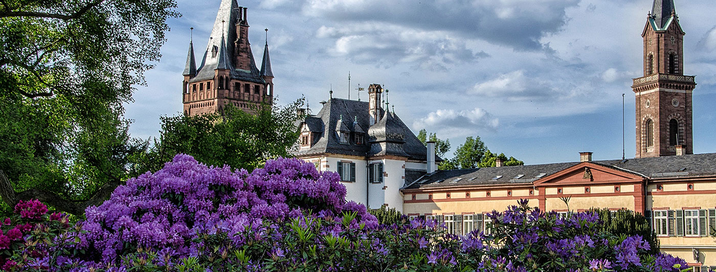 View of the castle