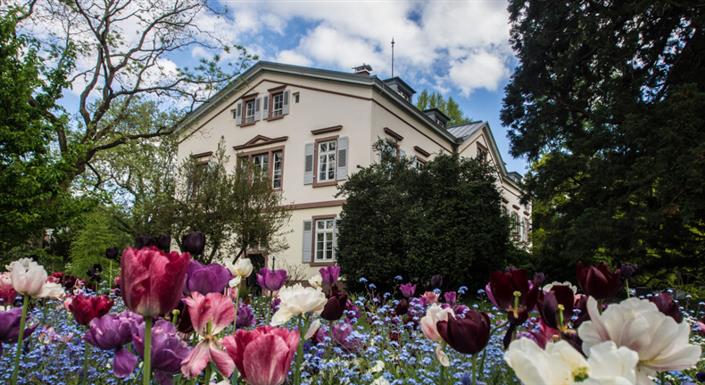Der Hermannshof