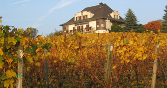 Autumn vines in the background the house “Rebmuttergarten”
