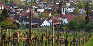 Blick auf Hohensachsen
