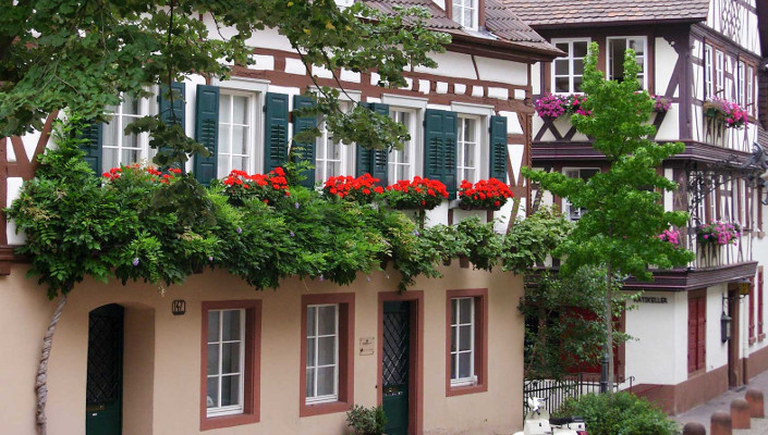 half-timbered house in the old town