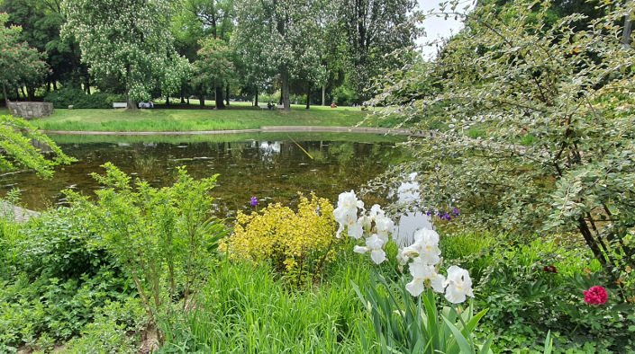View over the castle park pond with greenery in the foreground
