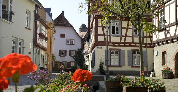 Half-timbered houses in the Gerberbach district with blooming red geraniums in the foreground